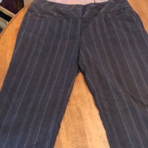 XOXO brown business pants